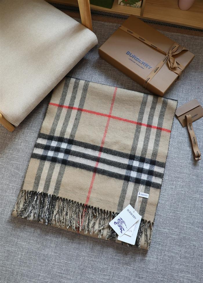 2026116111758755 210